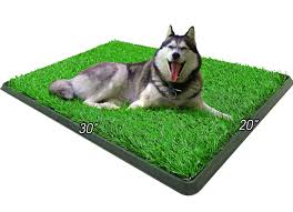 Dog-Friendly Artificial Grass Installation: Creating A Pet-Friendly Outdoor Space